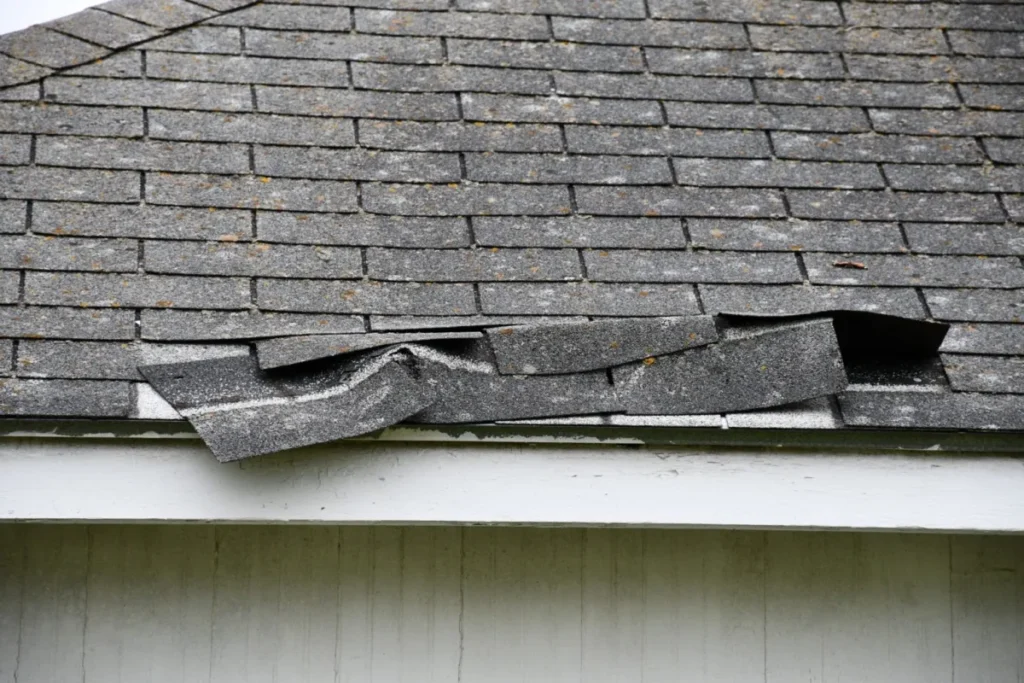 Signs Your Asphalt Shingles are Damaged 1536x1024 1 scaled 1