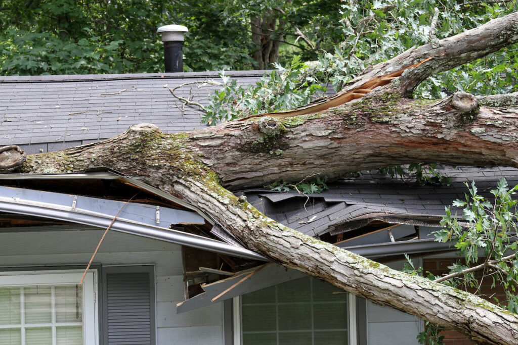Need Flat Roof Repair for Storm Damage: Quality Commercial Roofing in Houston is your Trusted Expert 6 lp ban tree damaging the roof of a house
